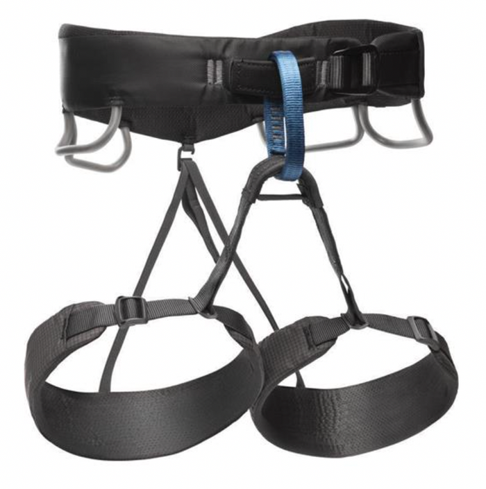 M Momentum Harness