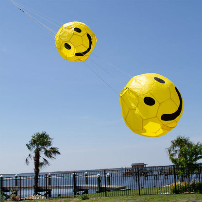 13 in. Smiley Ball w/ Wall Mount