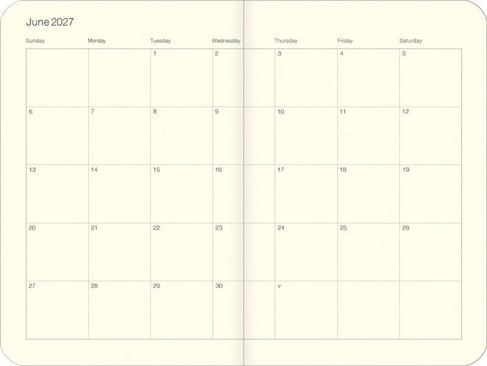 Calendar for June 2027 with days of the week labeled.