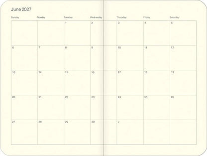 Calendar for June 2027 with days of the week labeled.