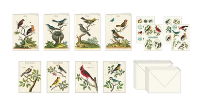 A Birds Stationery Set featuring illustrations of various birds on the packaging from Cavallini Papers & Co.