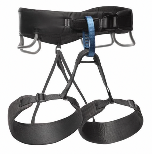 M Momentum Harness
