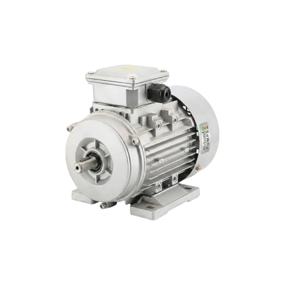 Motorelli 0.55kW Single-Phase Motor High Speed For Sale