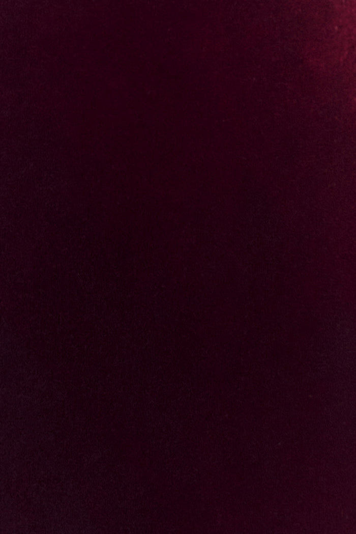 Paulina Velvet Strapless Mini Dress - Wine