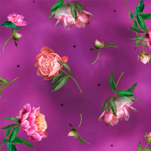 Peony Romance