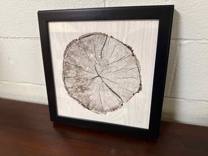 "Woodland Years I"